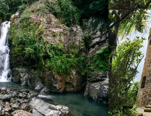 El Yunque Rain Forest